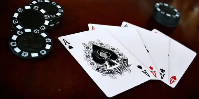 Chia sẻ một số tuyệt chiêu chinh phục bài catte